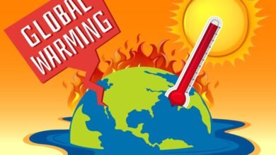 Membendung Pemanasan Dunia